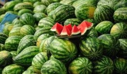 青田网红吃瓜事件真相,真相背后的网络风波